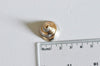 coquillage naturel blanc doré 19-26mm,bijoux coquillage nacré, x1 (G2666)