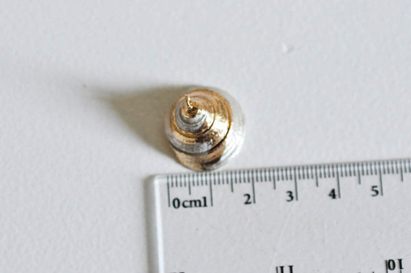 coquillage naturel blanc doré 19-26mm,bijoux coquillage nacré, x1 (G2666)