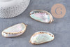 coquillage naturel blanc doré 53-70mm,pendentif argent création bijoux, x1 (G2086)