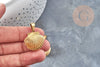 pendentif locket coquillage acier IP inoxydable doré 18K/platine 23.5mm,x1 (G4552)