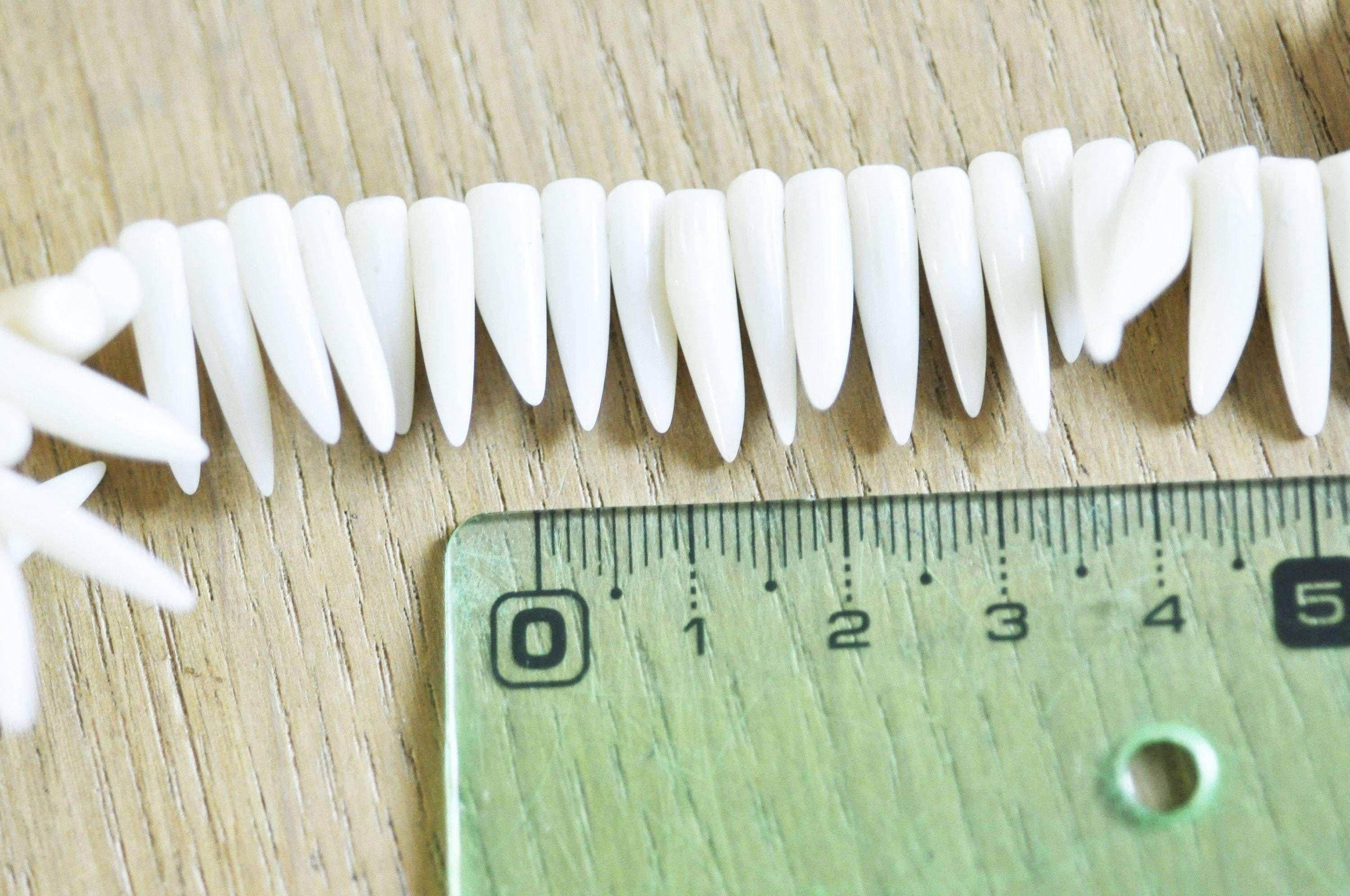 perle dent corail blanc,fabrication bijoux corail naturel,perle coquillage,coquillage blanc,11-17mm,le fil de 120 perles G4779