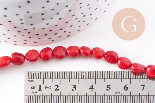 perle ovale corail rouge, perles corail, corail rouge,corail naturel, fil 40cm,6-12mm, x1 (G1827)