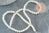 Perle ronde nacre coquillage blanc, le fil de 37cm, x1 (G5601)