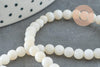 Perle ronde nacre coquillage blanc, le fil de 37cm, x1 (G5601)