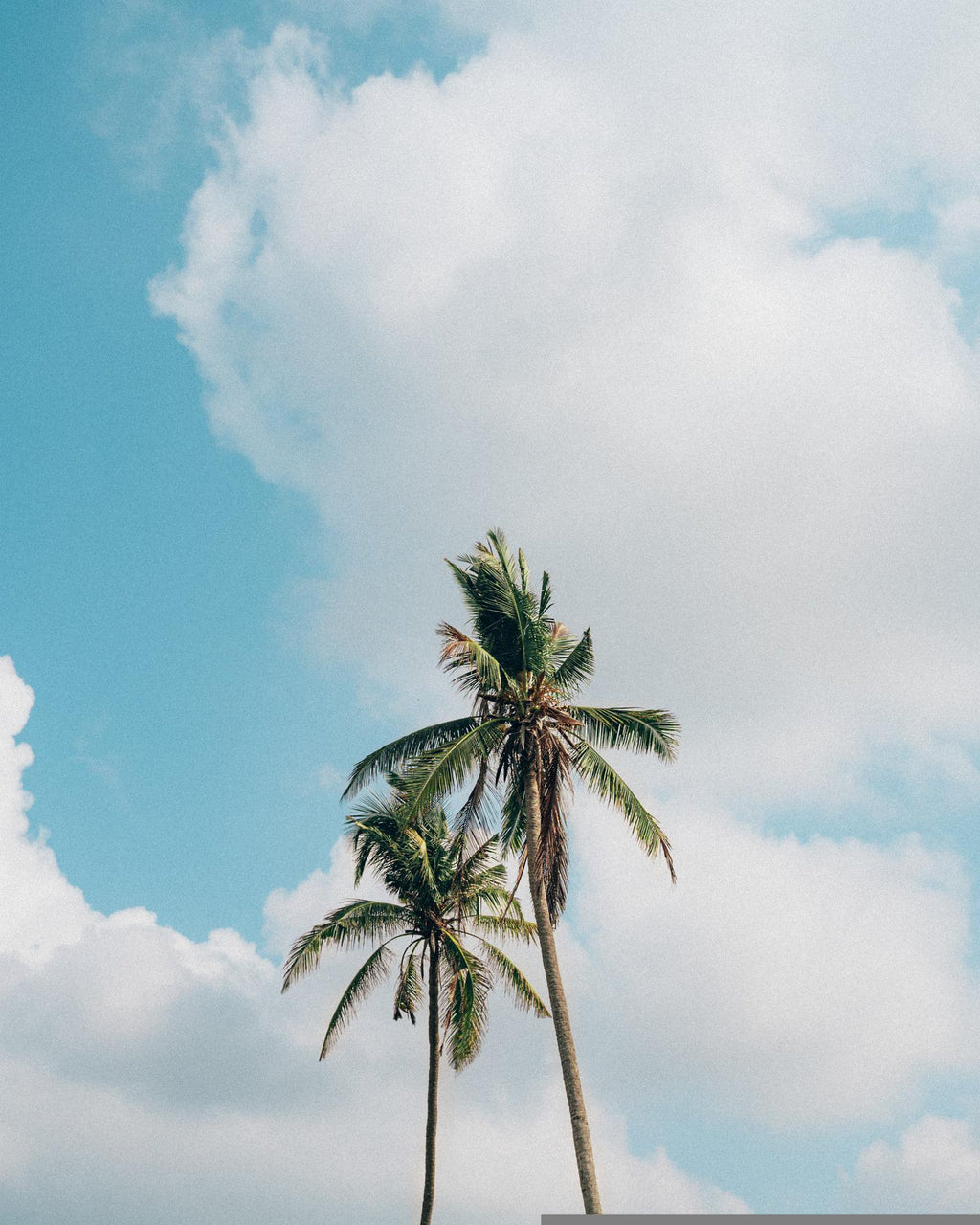 Les bijoux tendances de cet été - 2022