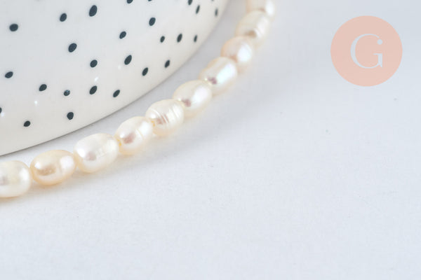 Cuentas de concha, nácar y bambú marino para bisutería natural DIY
