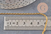 Chaine forçat fer doré 2 mm, x5 Mètres (G0751)
