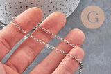 Chaine rolo fer platine 2.5 mm, x 5mètres (G1507)