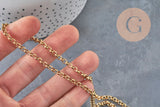 Collier Chaine rolo acier 304 inoxydable doré PVD 4mm/45cm, x1 (G11220)