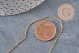 Collier chaine réglable forçat acier 304 inoxydable doré IP 2mm/51cm, x1 (G11257)