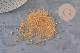 Miyuki Delica Beads 11/0 DB0034 - 24kt Gold Light Plated, x5gr VALID (G11296)