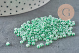 Petite Perle rocaille rayé vert blanc 3-3.5mm, x10gr (G11403)