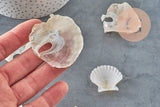 Coquillage Saint-Jacques naturelles rose blanc 30-50mm France, x2 (G11391) VALIDE-coquillage-Gingerlily Perles