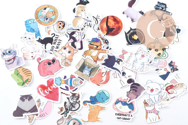 Autocollant chats variés 40x70mm, x50 (G10539)
