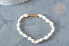 Bracelet Coquillages naturels blancs laiton doré 19.5cm x1 (G7803)