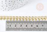 Bracelet laiton doré maille fantaisie pastille 17.5cm, x1 (G8080)
