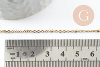 Bracelet réglable chaine satellite acier 304 doré inoxydable 18.5cm, x1 (G9595)