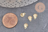 Breloque coquillage acier 304 inoxydable doré 14k 7.5mm, Pendentif coquillage sans nickel, x10 (G6014)
