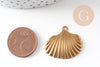 Breloque coquillage laiton brut 26mm, breloquesmétal doré pour création bijoux,sans nickel x2 G7268