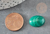 Cabochon ovale agate naturelle vert 18x13mm, x1 (G1972)