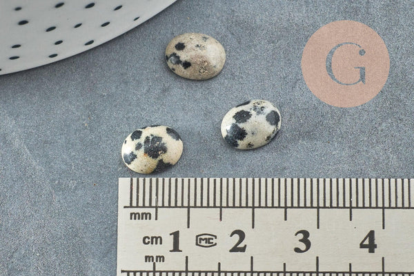 Cabochon ovale jaspe dalmatien naturel 10x8mm, x1 (G1590)