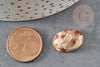 Cabochon ovale jaspe rayé bréchique naturel 18x13mm, x1 (G2238)