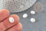 Cabochon ovale nacre blanche naturelle 10x8mm, x1 (G0372)