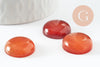 Cabochon rond cornaline naturelle orange 20mm, x1 (G9617)