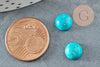 Cabochon rond howlite naturel teinté turquoise 8mm, x1 (G8653)