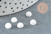Cabochon rond jade blanc 6mm, x1 (G2885)