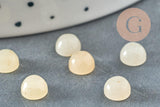 Cabochon rond jade naturel jaune 6mm, x1 (G1391)