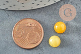 Cabochon rond jade naturel jaune 8mm, x1 (G0454)