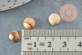Cabochon rond jaspe paysage naturel 8mm, x1 (G0442)