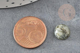 Cabochon rond labradorite naturelle 10mm, x1 (G5021)
