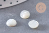 Cabochon rond nacre blanche naturelle 8mm, x1 G10535