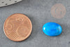 Cabochon rond turquoise bleue naturelle 14mm, x1 (G0349)