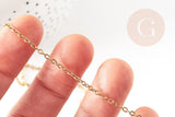 Collier Chaine complète forçat acier 304 inoxydable doré IP 2mm/50cm avec fermoir, x1 (G9300)