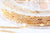 Chaine soudée losange laiton doré 18K- 1,5mm, x1 mètre (G6934)