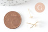 Clous-puces oreille avec plateau acier inoxydable 304 doré 5mm, x10 (G9727)