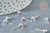Clous puces oreille boule acier 304 platine inoxydable anneau, x10 (G8226)