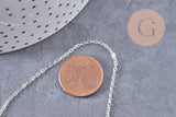 Collier Chaine collier complète laiton argentée forçat 70cm, x1 (G0851)