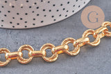 Collier Collier chaine XXL acier 304 inoxydable doré IP texturé 45cm, x1 (G10939)