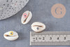 Coquillage cauris ouvert oeil chance 18-22mm,x10 (G2058)