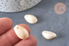 Coquillages cauris naturels percés, x10-50-100 ou 200 (G0583)