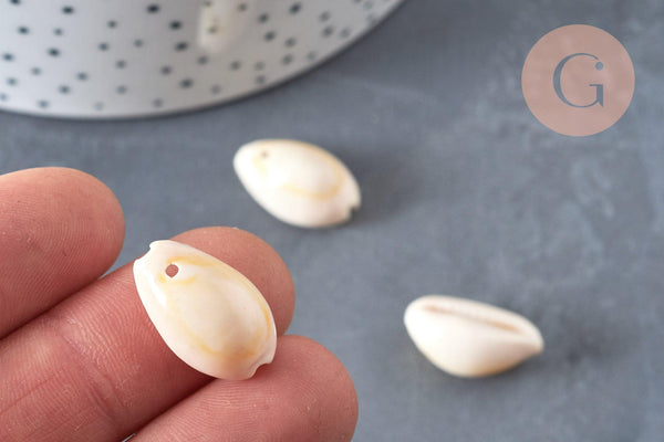 Coquillages cauris naturels percés, x10-50-100 ou 200 (G0583)