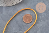 Cordón cola de ratón poliéster dorado claro 2mm, x5 metros (G11222)