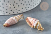 EP Pendentif coquillage marron spirale doré 30-50mm, Pendentif coquillage pour création bijoux x1 (G9256)