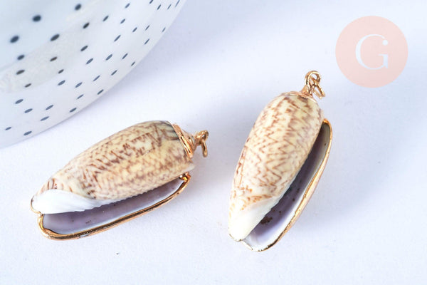 EP-Pendentif coquillage naturel spirale beige doré 31-36.5mm, pendentif création bijoux coquillage, x1 G7162