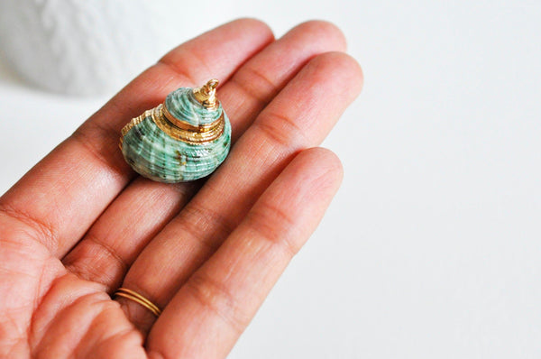 EP Pendentif coquillage naturel vert doré 25mm-G0609