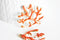 EP Pendentifs doré corail émail orange,pendentif coquillage, laiton doré, pendentif corail,création bijoux,35mm, x1-G1569